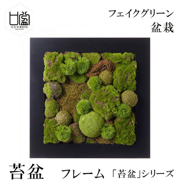 楽天市場】最大100%ポイントバック 盆栽 苔盆 苔 コケ こけ フレーム