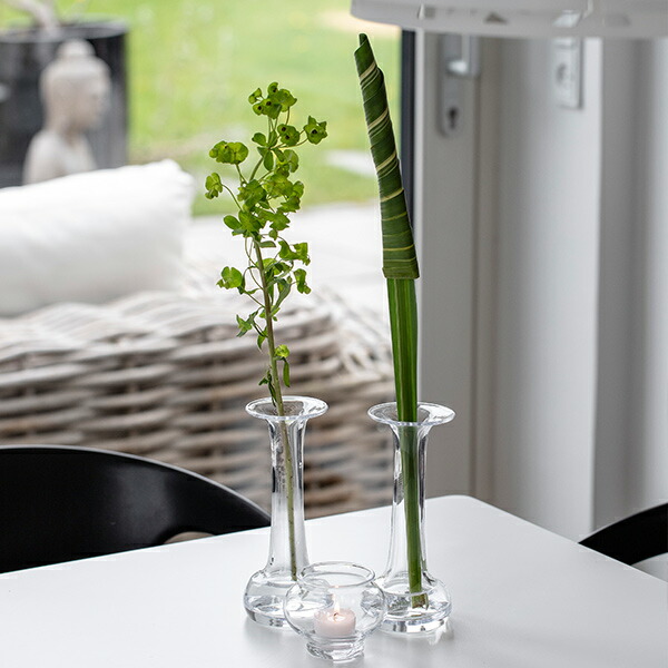 楽天市場】最大100%ポイントバック&最大3000円OFFクーポン ホルム