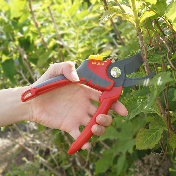 楽天市場】最大100%ポイントバック&最大3000円OFFクーポン 剪定 ばさみ