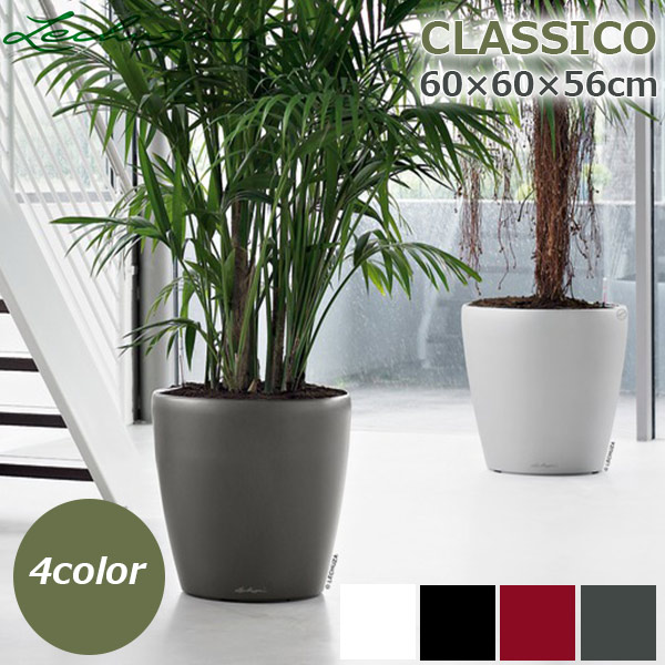 楽天市場】最大100%ポイントバック&最大3000円OFFクーポン 植木鉢