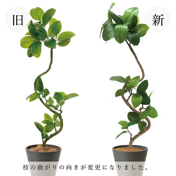 楽天市場】最大100%ポイントバック フェイクグリーン 観葉植物 人工