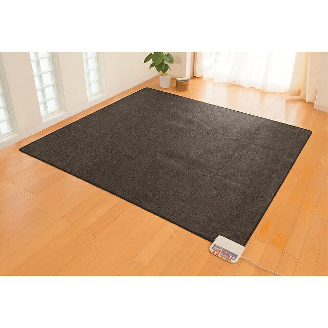 楽天市場】ゼンケン 電磁波99%カット ホットカーペット 3畳用 本体のみ