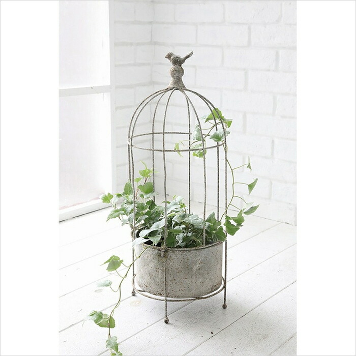 楽天市場】プランツゲージ 小鳥 Bird プランタースタンド 花台