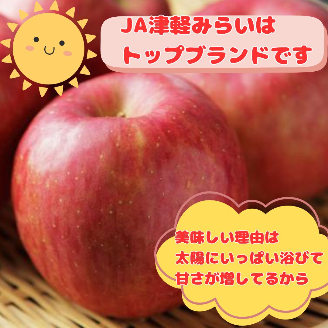 楽天市場】青森 りんご サンふじ 高級 リンゴ 津軽 フルーツ 果物 さん