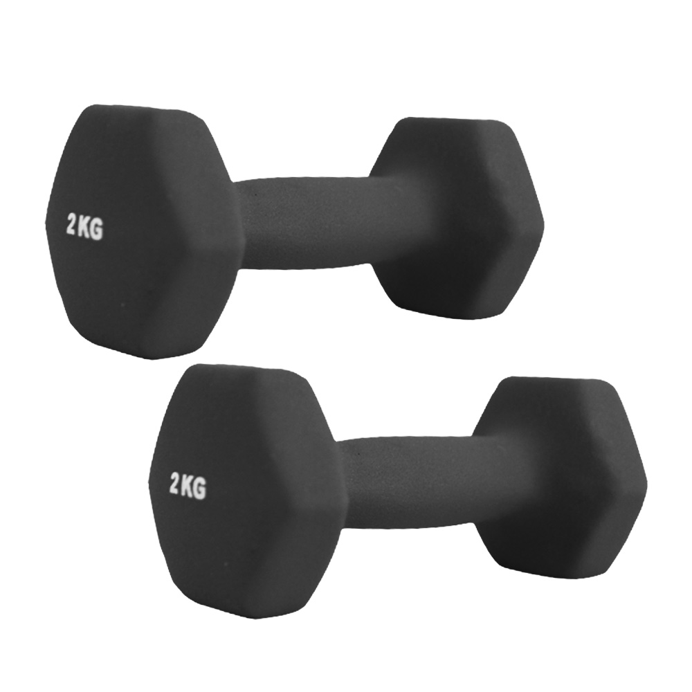 鉄アレイ2キログラム 楽天市場】【最大11％OFFクーポン】ダンベル 2kg