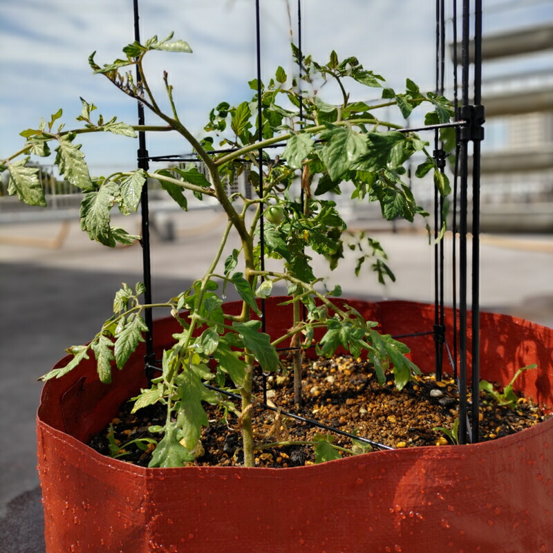 楽天市場】【SALE50％OFF】たためるプランター 支柱フレーム付き