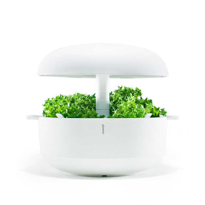 楽天市場】【アウトレット品80％OFF】Plantui 6 北欧フィンランドの水