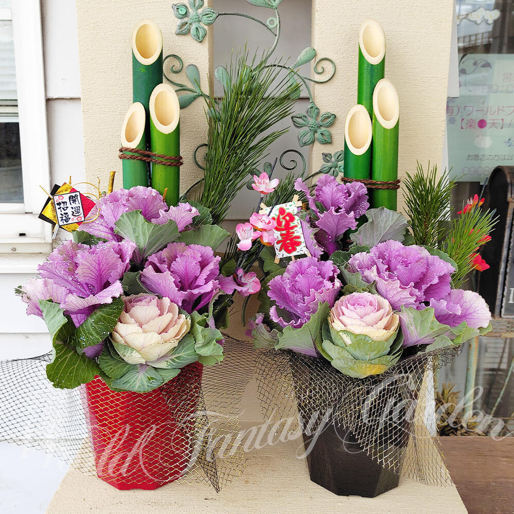 楽天市場】苗 お正月 新春 門松と葉牡丹の寄せ植え 色おまかせ 1鉢 5号