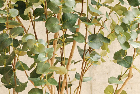 楽天市場】フェイクグリーン 観葉植物 フェイク 人工観葉植物 光触媒