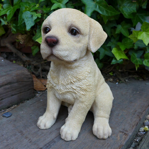 楽天市場】犬の置物 ラブラドール いぬ イヌ 動物 T14060