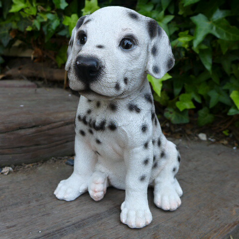 楽天市場】犬の置物 ダルメシアン いぬ イヌ 動物 T14070