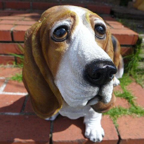 楽天市場】犬の置物 バセットハウンド 3792-00 いぬ イヌ 動物