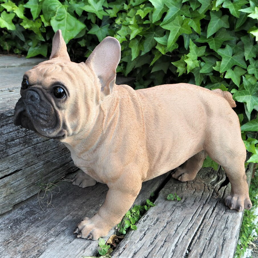 楽天市場】送料無料 犬の置物 フレンチブルドッグ N13885 いぬ