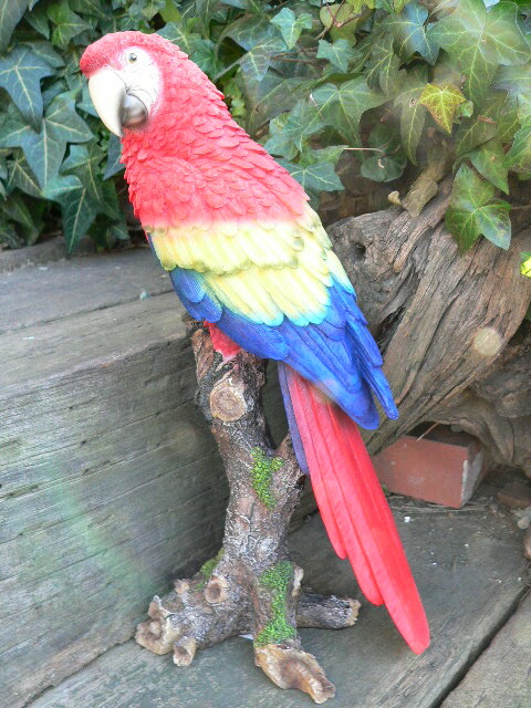 楽天市場】スワロフスキー オオハシ 鳥 置物 5493725 ギフト