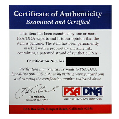 楽天市場】レア!! ジョン・マッケンロー選手 直筆サイン入り記念フォト