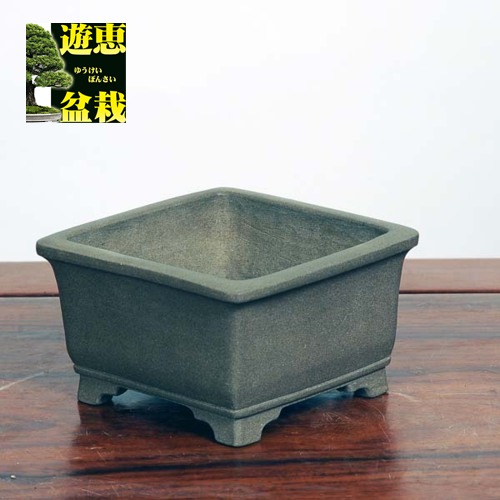 盆栽鉢　神谷流苑　流苑 流苑 高級盆栽鉢 A3654☆陶器鉢 ミニ盆栽 小品盆栽☆「送料無料」浦部