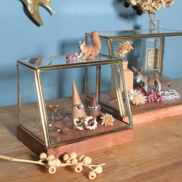 楽天市場】『 ガラスショーケース creer 』アクセサリー 収納