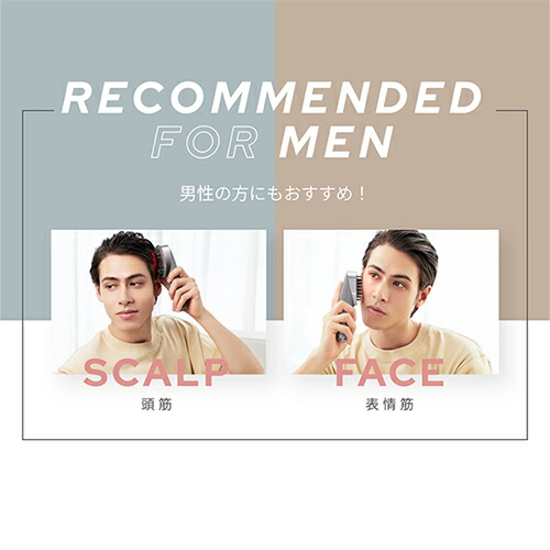 楽天市場】【30%オフ☆3/4 20:00から3/11 1:59まで】美顔器 ブラシ