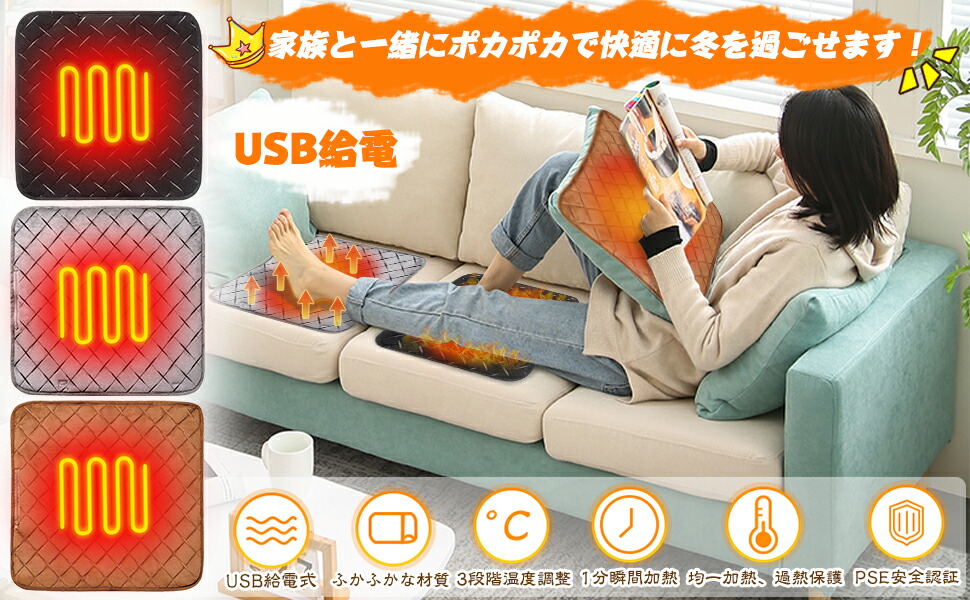 楽天市場】ホットマット ミニ 電気ホットマット USB給電 電気座布団