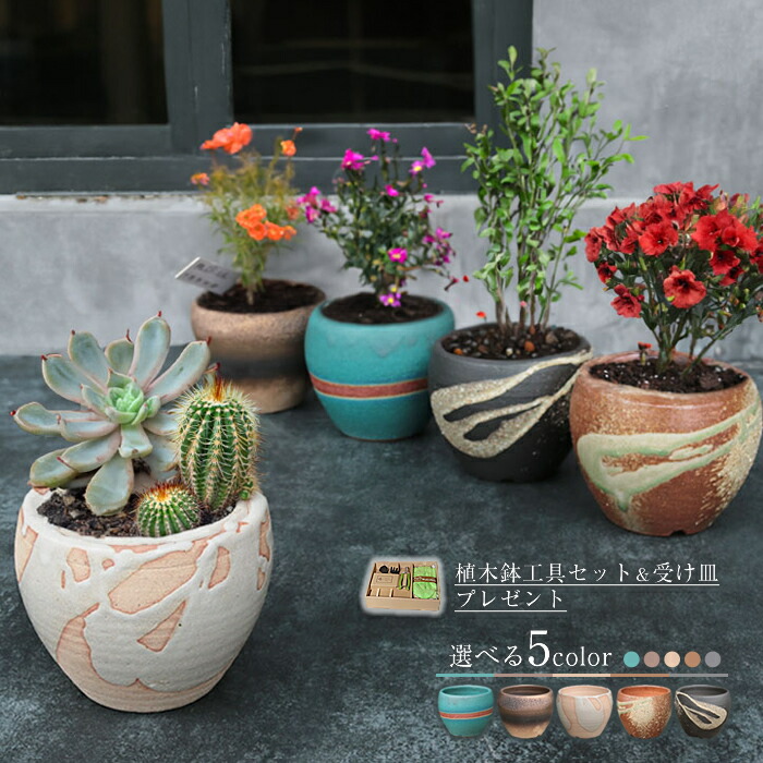 盆栽鉢 睡蓮鉢 蘭鉢 懸崖 植木鉢 観葉植物 山野草 花 染付け 大鉢