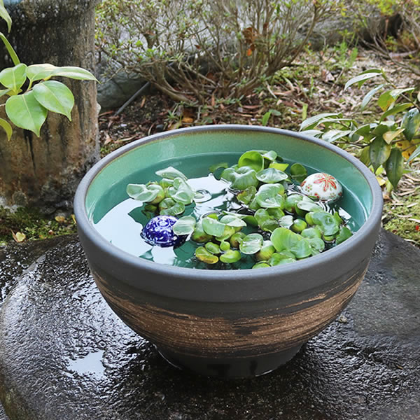 楽天市場】【38時間限定20%OFFクーポン配布中】13号はけ目水鉢