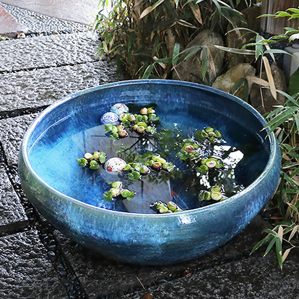 楽天市場】【今だけ限定15%OFFクーポン配布中】スイレン鉢 大型 陶器