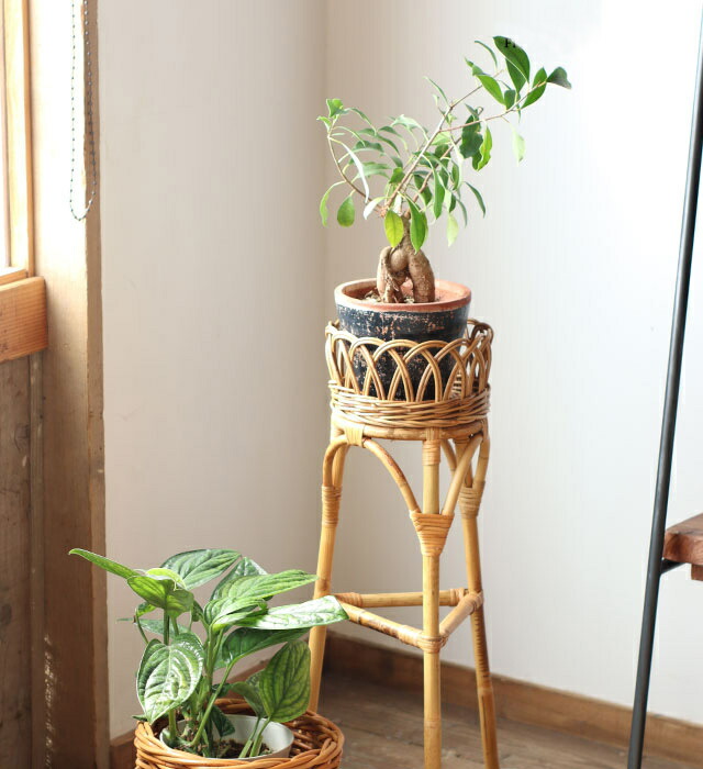 楽天市場】フラワースタンド 籐の通販