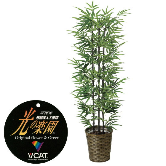 楽天市場】【クーポンで10%OFF】 人工観葉植物 黒竹1.35 フェイク