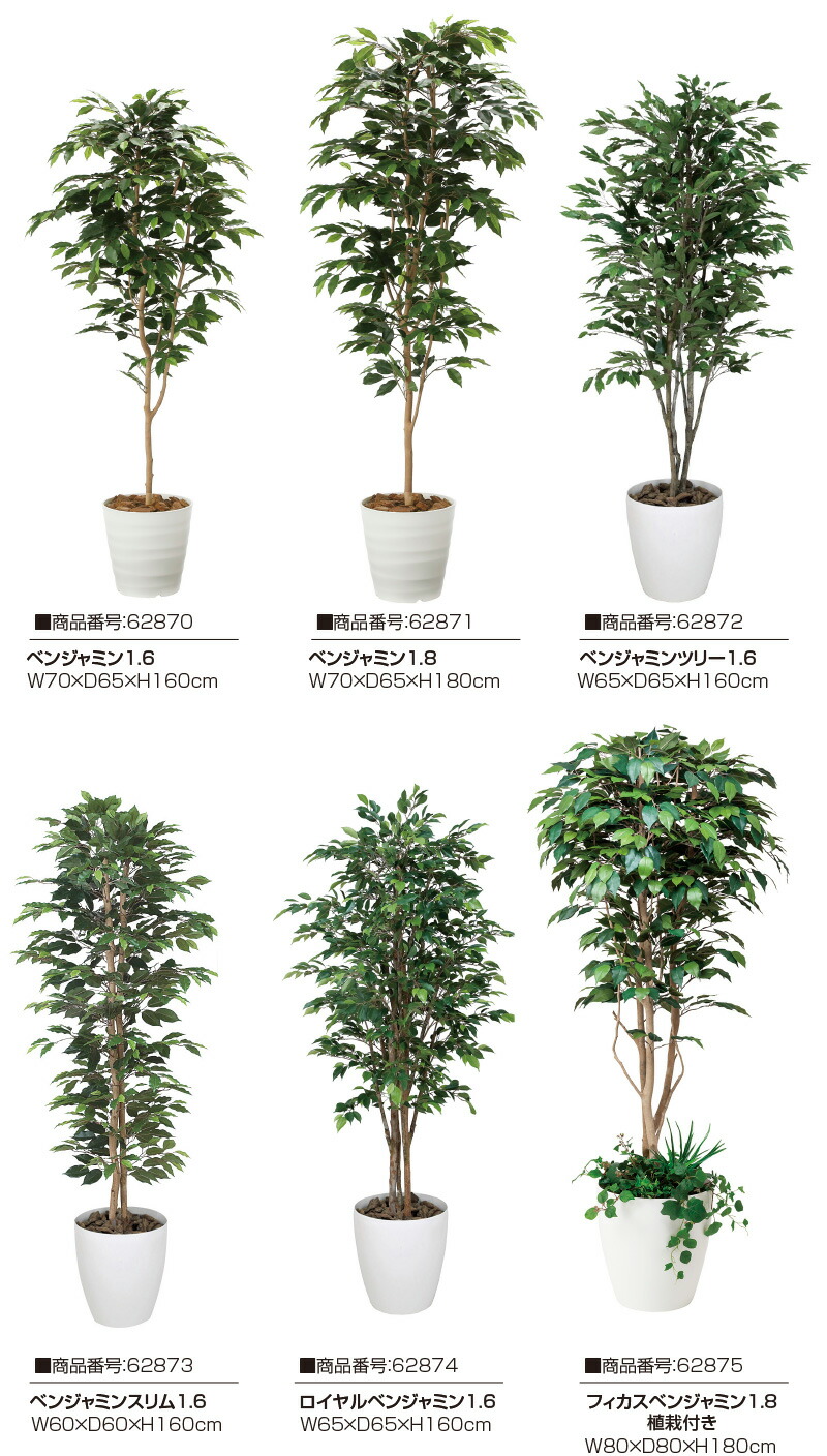 楽天市場】【クーポンで10%OFF】 光触媒人工植物 ベンジャミンスリム