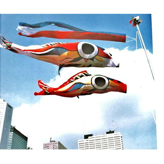 楽天市場】鯉のぼり 岡本太郎鯉のぼり 岡本太郎ミュージアム限定品