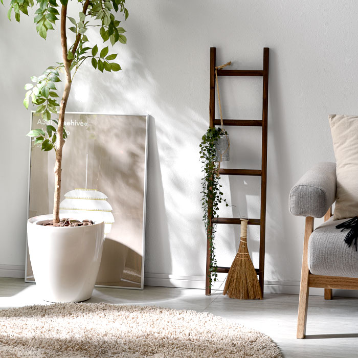 楽天市場】☆8日20時から使える先着3名20％クーポン配布中☆ラダー