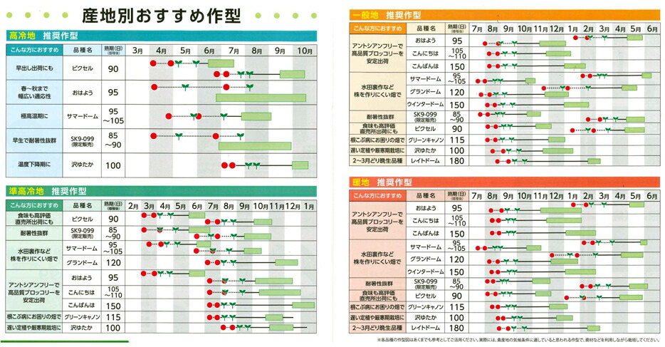 楽天市場】ブロッコリー種子 おはよう 【アントシアンフリー