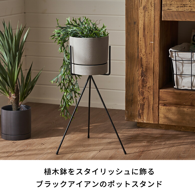 楽天市場】プランタースタンド スタンド フォーク型 アイアン 鉄 直径