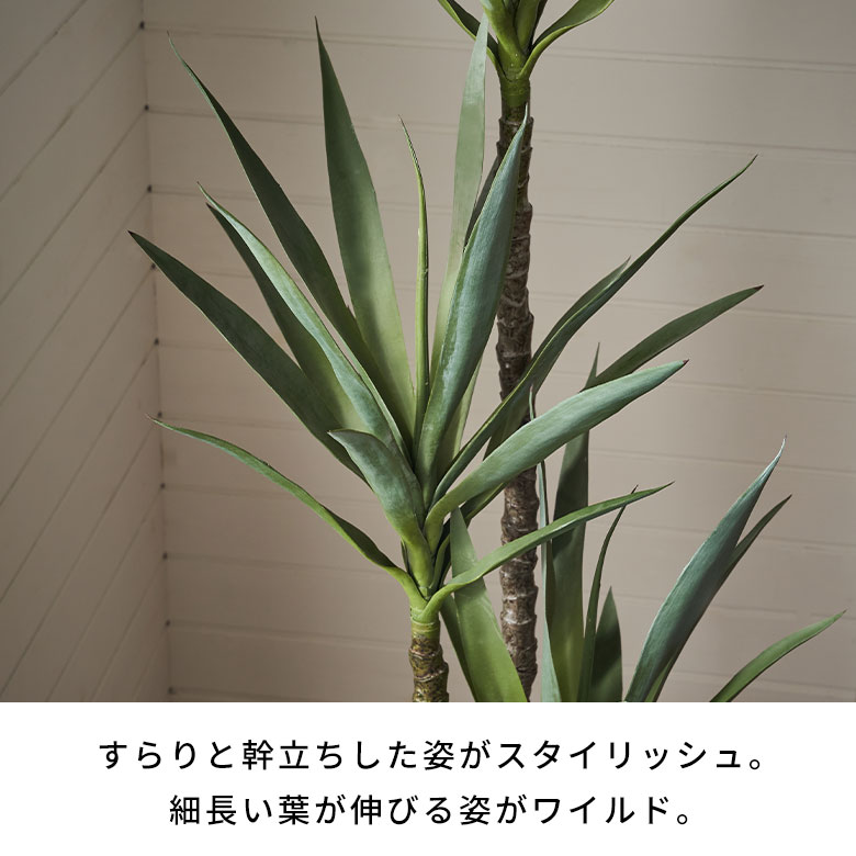 楽天市場】フェイクグリーン アガベ 高さ 155cm 観葉植物 グリーン