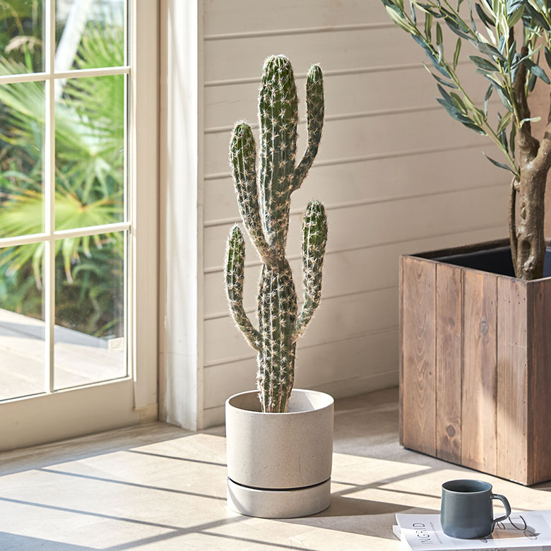 楽天市場】フェイクグリーン サボテン 観葉植物 柱サボテン 大きい W12