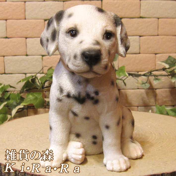 楽天市場】犬の置物 ダルメシアン お座り ワンちゃん いぬ オブジェ