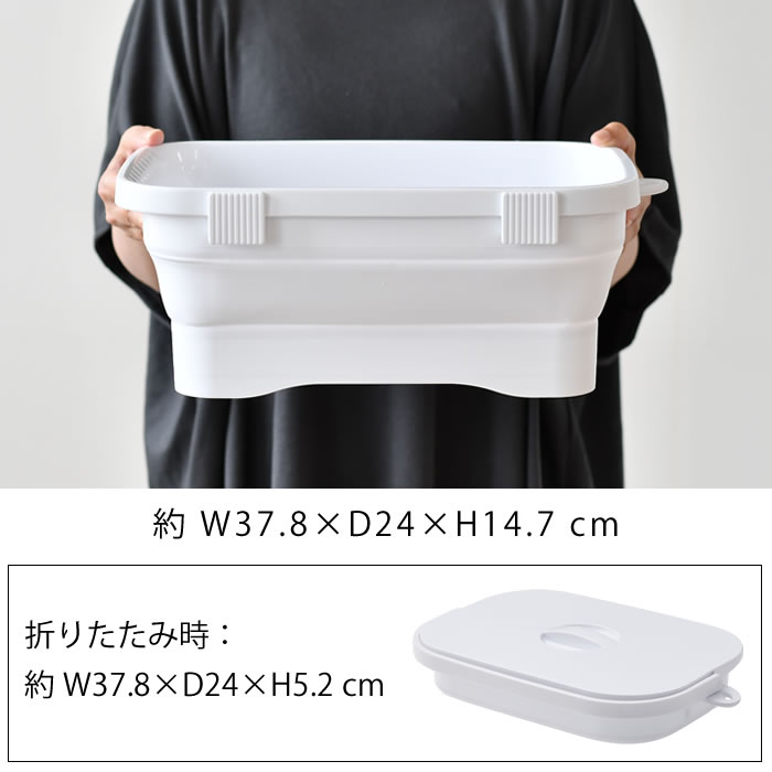 楽天市場】【3月5日はポイント最大10倍祭！】＼楽天1位／ 洗い桶