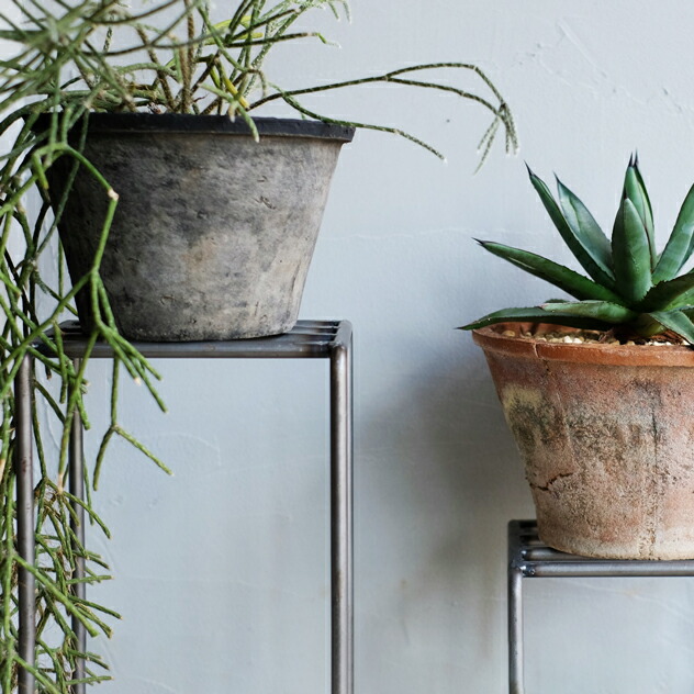 楽天市場】【3個セット】KNOP plant stands [3 pieces set] / ノップ