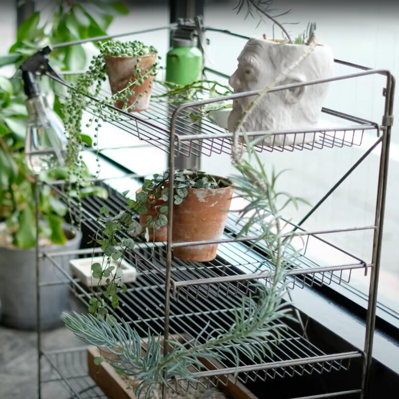 楽天市場】HABANA FOLDING SHELF（L) ハバナ フォールディング