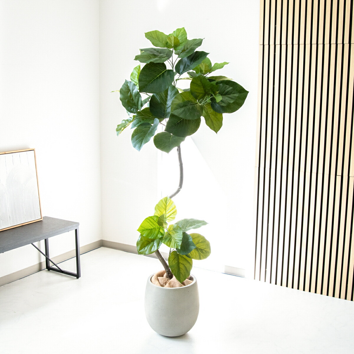 楽天市場】フェイクグリーン 観葉植物 人工観葉植物 フィカス