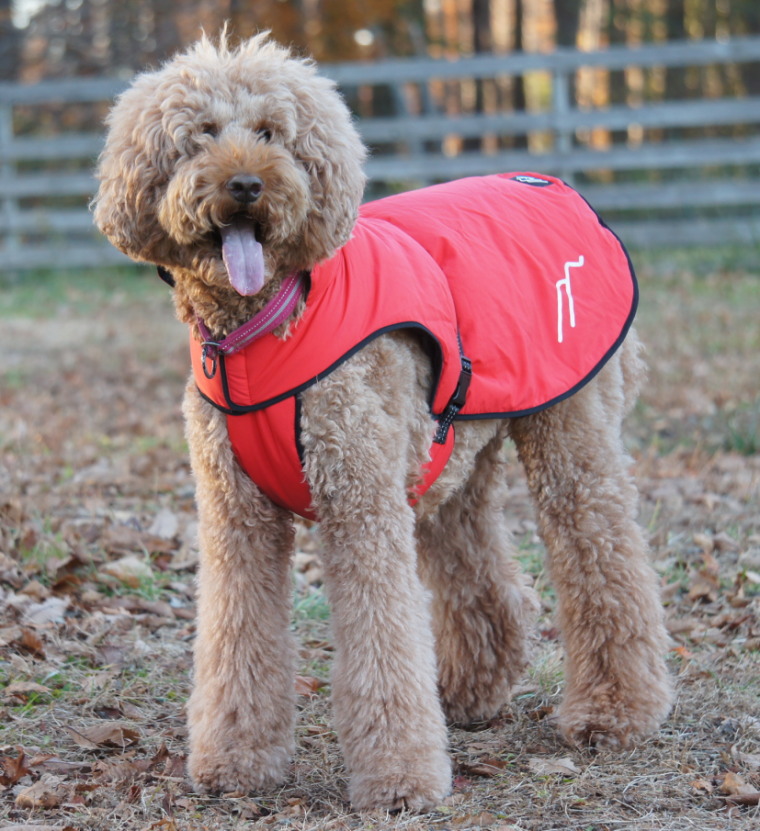 楽天市場】[Hakusan]ダウンジャケット【ゼロジャケット】大型犬用