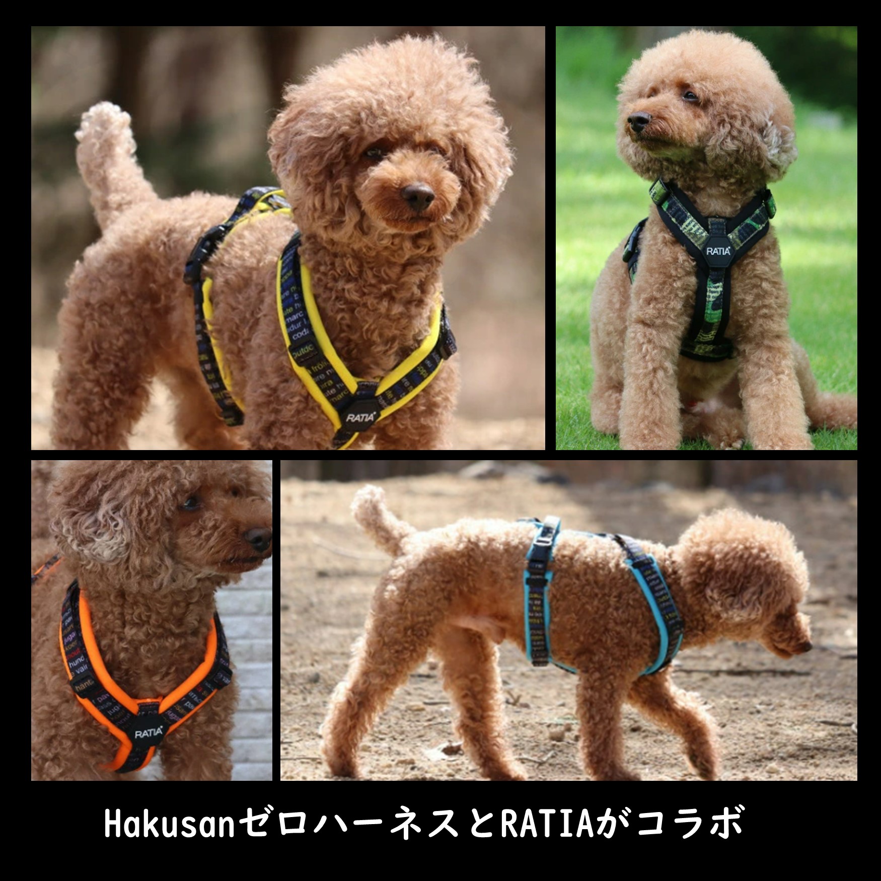 楽天市場】【Ratia】【デザインスタジオ ラティア】北欧デザイン・ゼロ