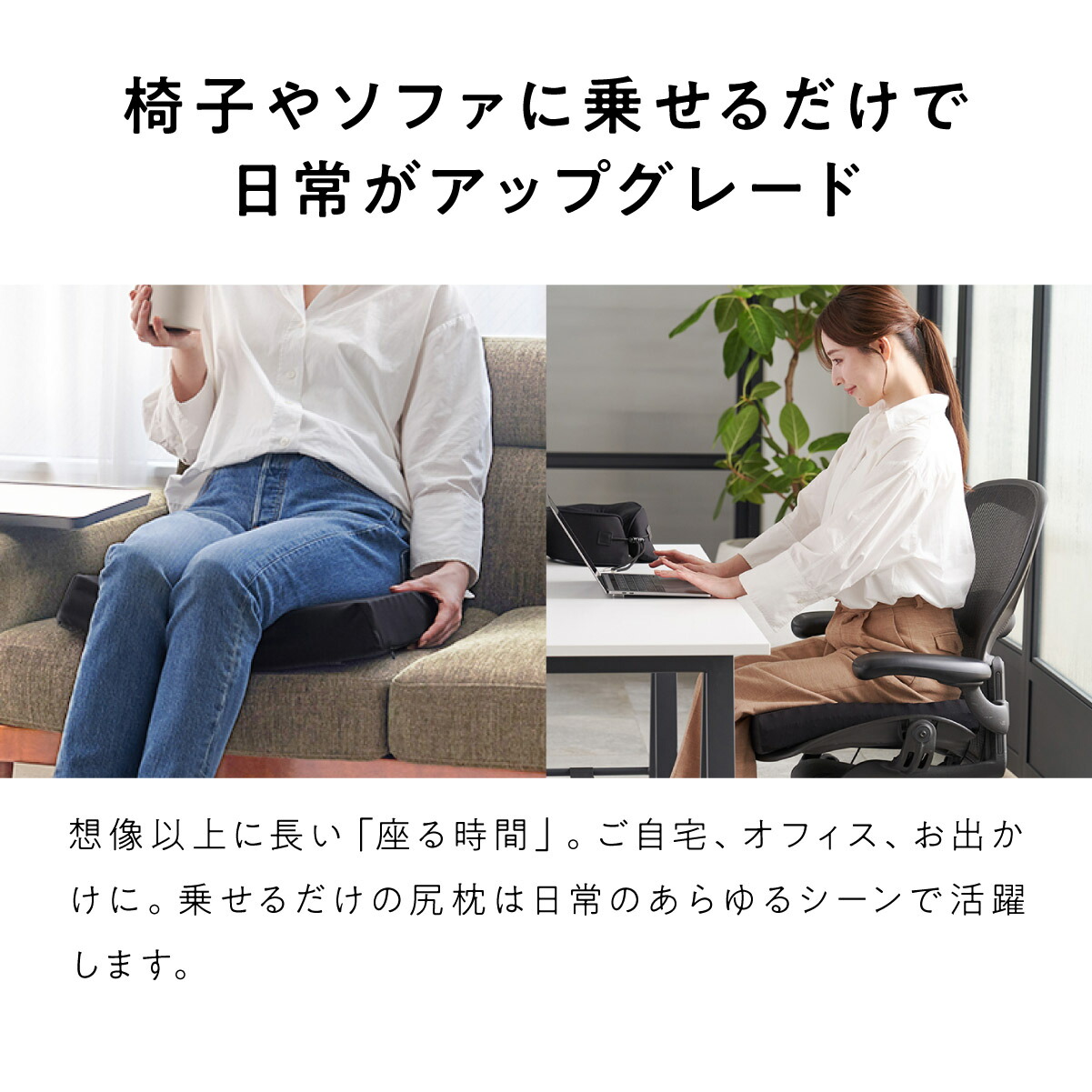 楽天市場】【最大15%OFF+さらにクーポンでお得！】 ヒツジのいらない尻