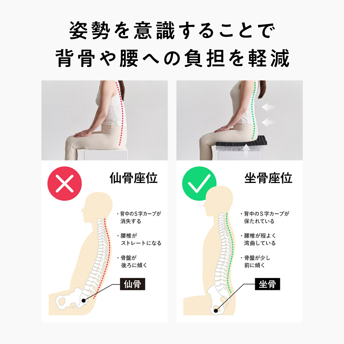 楽天市場】【最大15%OFF+さらにクーポンでお得！】 ヒツジのいらない尻