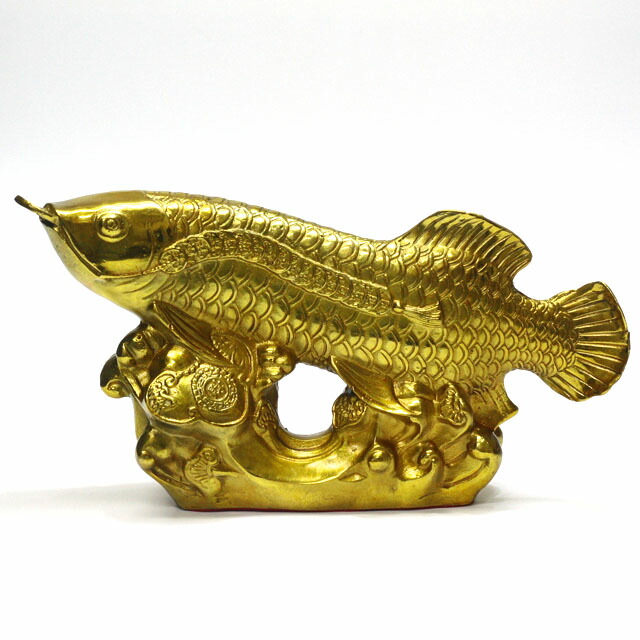 楽天市場】金龍魚 置物 アロワナ 風水 金龍 魚 特大最大長さ約25cm