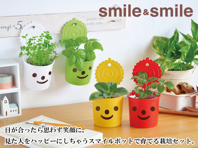 かわいい草生えちゃん DIY 草育てポット デスクトップ 癒しグリーン