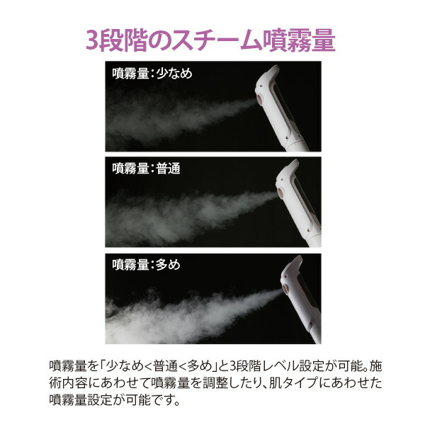 楽天市場】フェイシャルスチーマー エステスチーマー エトゥベラ FS300