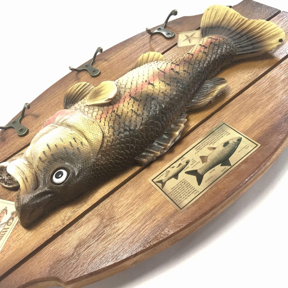 楽天市場】ブラックバス 壁掛け (40cm×24cm) レプリカ 模型 フィギュア