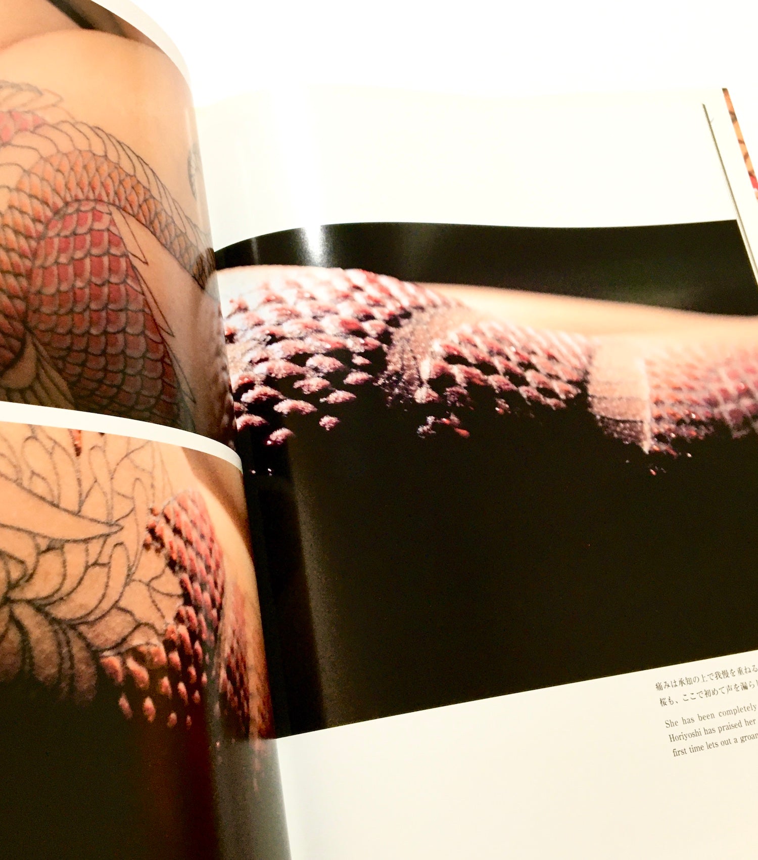 WANZAKURE（わんざくれ）THE ROAD TO SHISEI BY HORIYOSHI Ⅲ / 刺青