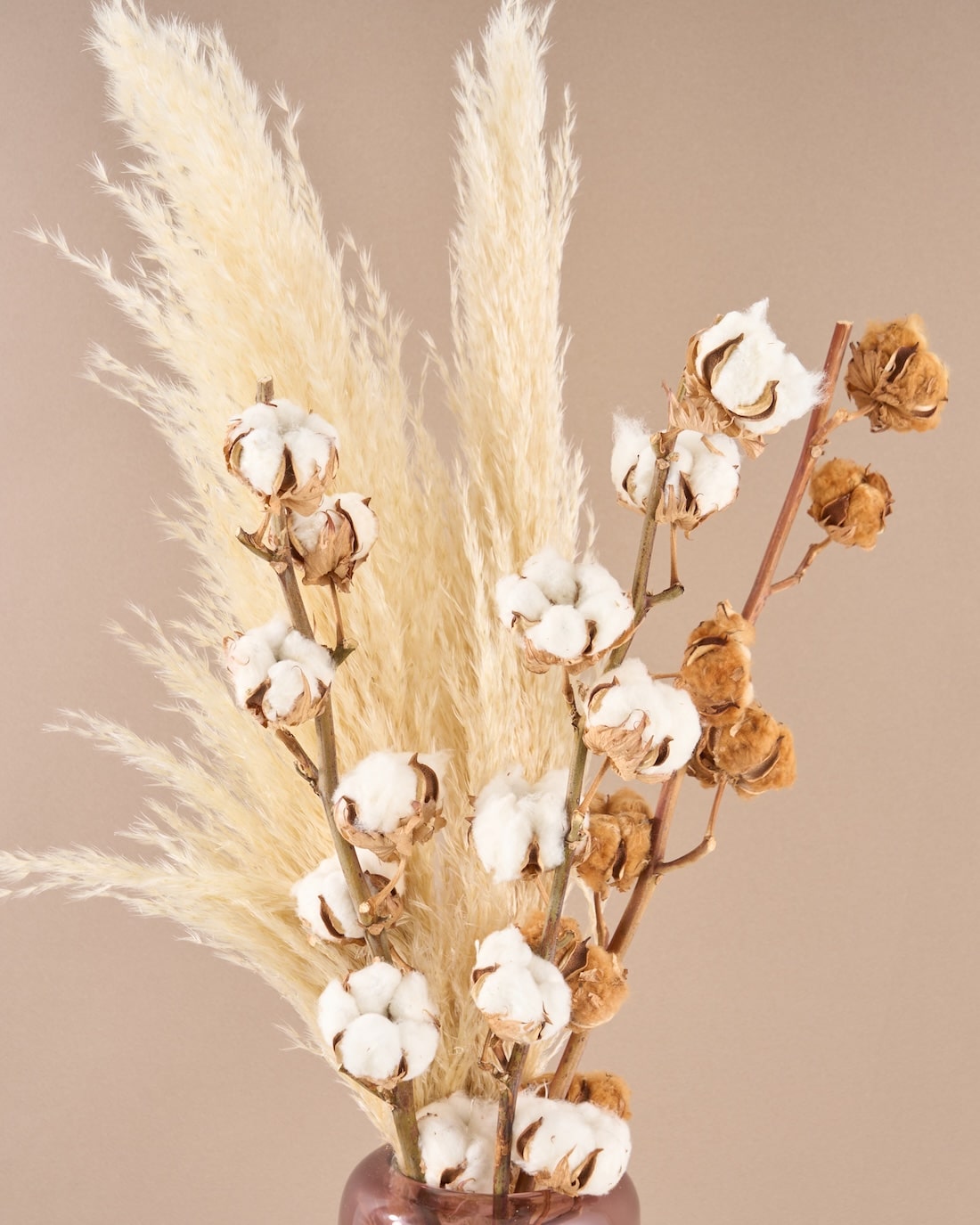 飾るだけでサマになるドライフラワーセット（パンパスグラス） 商品